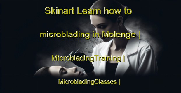 Skinart Learn how to microblading in Molenge | MicrobladingTraining | MicrobladingClasses | SkinartTraining-the Democratic Republic of the Congo